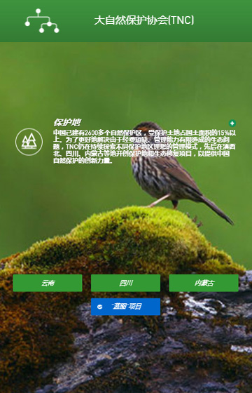 大(da)自然保護協會網站案例圖片2